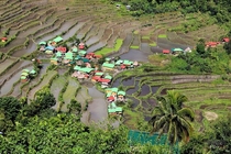 Rice terraces of Batad Philippines