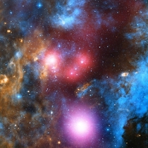 Right now Chandra is studying stars in Cygnus Our Sun is an average-sized star that will have a lifespan of around  billion years More massive stars like those found here in Cygnus OB only last a few million years