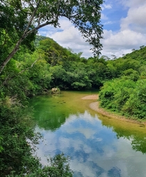 River Salobra in Mato Grosso do SulBrazil 