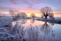 River Stour Dawn Janurary  Dedham Essex UK  photo by Antony Burch