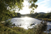 River Tweed - Scottish Borders x 