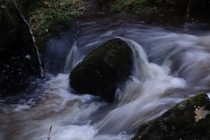 Rivers flow in the Campsie Glen Scotland  x