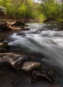 Riverside in the Great Smoky Mountains National Park 