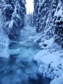Robson Valley British Columbia 