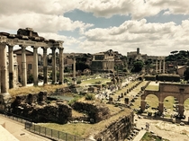 Roman Forum  x 