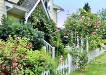 Romantic Garden Vancouver Island OC