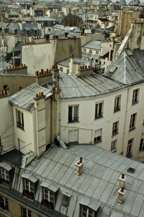 Rooftops in Paris 