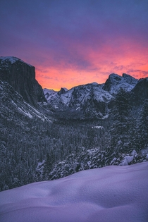 Ros slushy Yosemite Ca 