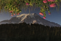 Rotated Reflection of Mt Rainier 