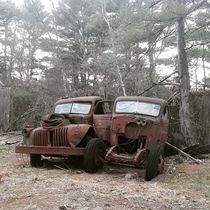 Rotting away together in Massachusetts