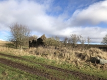 Ruined farm cottage  Near Balbeggie Scotland