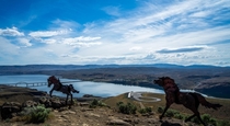 Running with the wild horses of Columbia Gorge WA