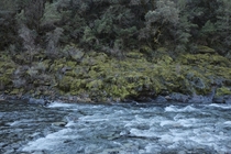 Rushing water of the American River CA 