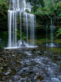 Russell Falls Tasmania 