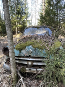 Russian Moskevich been in this Finnish forest as long as I remember