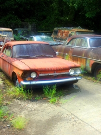 Rust in peace photo taken at Old Car City USAwhite ga