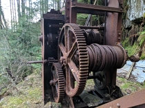 Rusty Gears In The Woods  