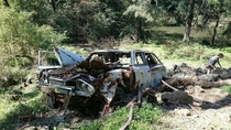 Rusty old car we found while bush bashing