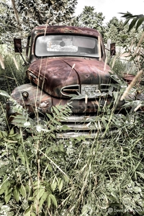s Mercury truck slowly rusting away on an abandoned farm near Toronto