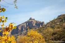 Sabino Canyon Tucson AZ 