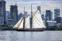 Sailboat in Toronto