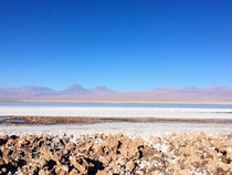 Salar de Atacama in San Pedro de Atacama Chile 