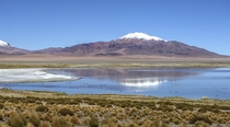Salar de Tara Atacama Desert Chile 