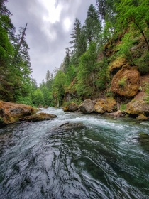 Salmon Creek near Oakridge Oregon 
