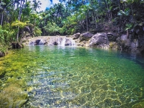San Carlos Swim Hole in Guam United States of America The crystal green color of the pool comes from the algae in the pool and the surrounding lush jungle Photographer Tihu Lujan The Guam Daily Post 