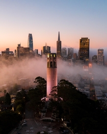San Francisco Low Fog