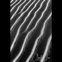 Sand Waves Mesquite Flat Sand Dunes Death Valley 