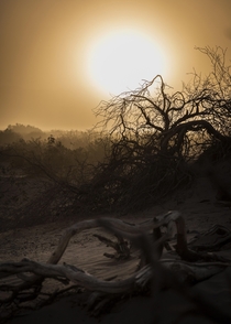Sandstorm subsiding at sunset in Death Valley California 
