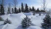 Saskatchewan Snowstorm Aftermath February th  
