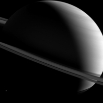 Saturn Askew 