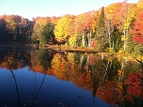 Saw this beautiful sight in Northern Wisconsin this Fall just had to snap a photo with my phone sorry about the quality 