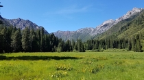 SawTooth Ridge in Trinity Alps CA 