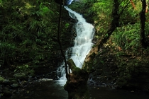 School Creek Ross Creek Waterfall Dunedin New Zealand 