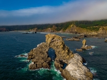 Sea Lion Rock on the Oregon Coast OC