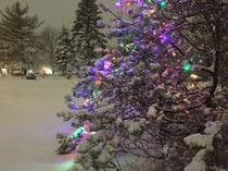 Seasonal lights in the darkest time PEI Canada