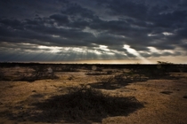 Sechura Desert Per  by Nicolas Corbetto