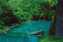 Secret pond at public park in Villaldama Nuevo Len Mxico 