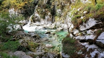 Seen in Mrtvica Canyon Montenegro Europe 