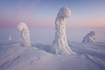 Sentinels of the Arctic Finland- Niccol Bonfadini 
