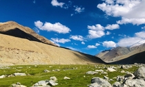 Serene Himalayas - Ladakh India 