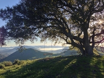 Serenity Swing above Cal Poly San Luis Obispo by uNacimiento 