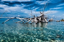 Shades of Blue Sandy Cay Grand Bahama 