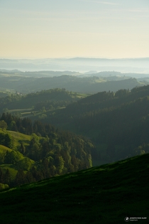 Shades of green Ahorn Alp in Switzerland 