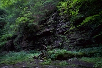 Shale cliffs - Ithaca NY OC
