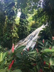 Shaw Park Gardens waterfall Jamaica 