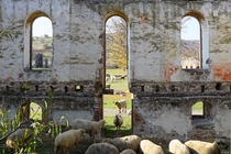 Sheeps in the abandoned agricultural school Kepsut Turkey